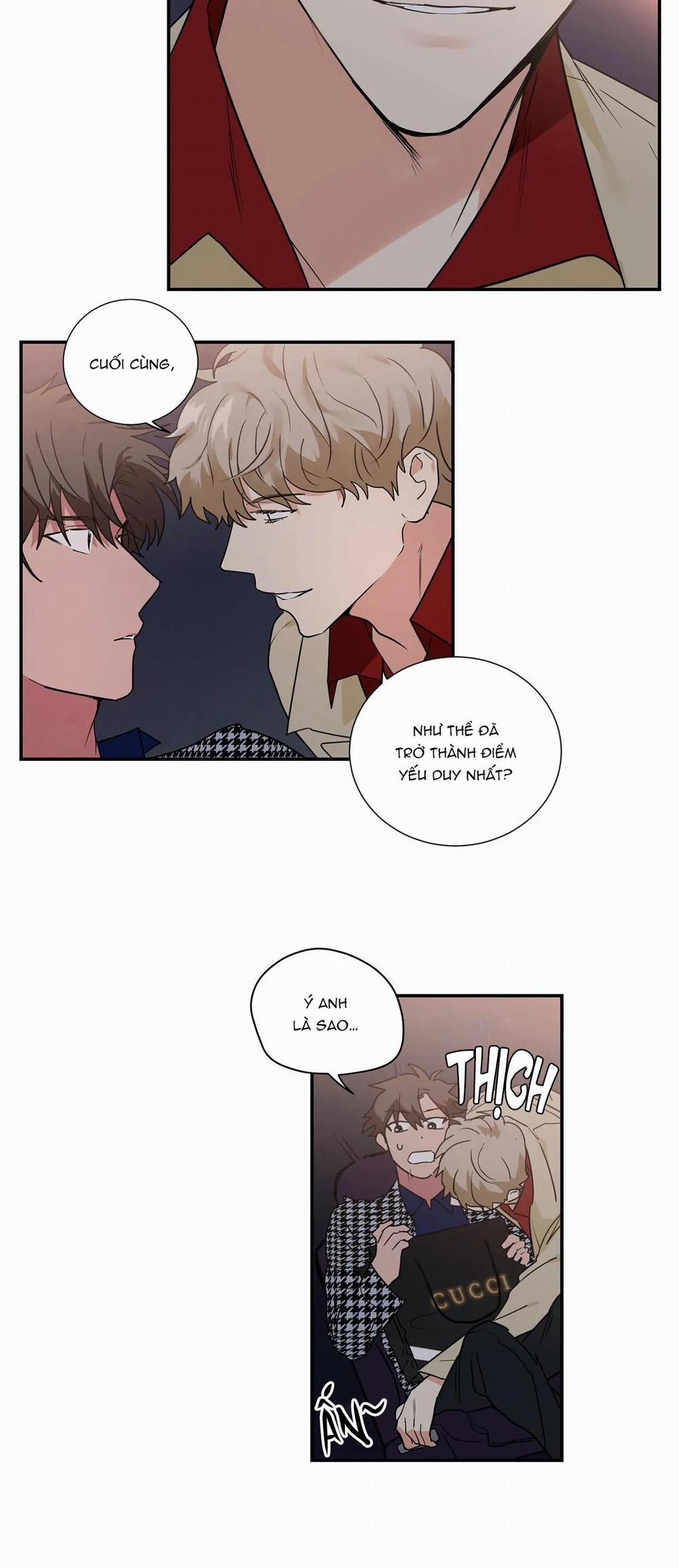 Mâu thuẫn và tương phản 28 trang 14