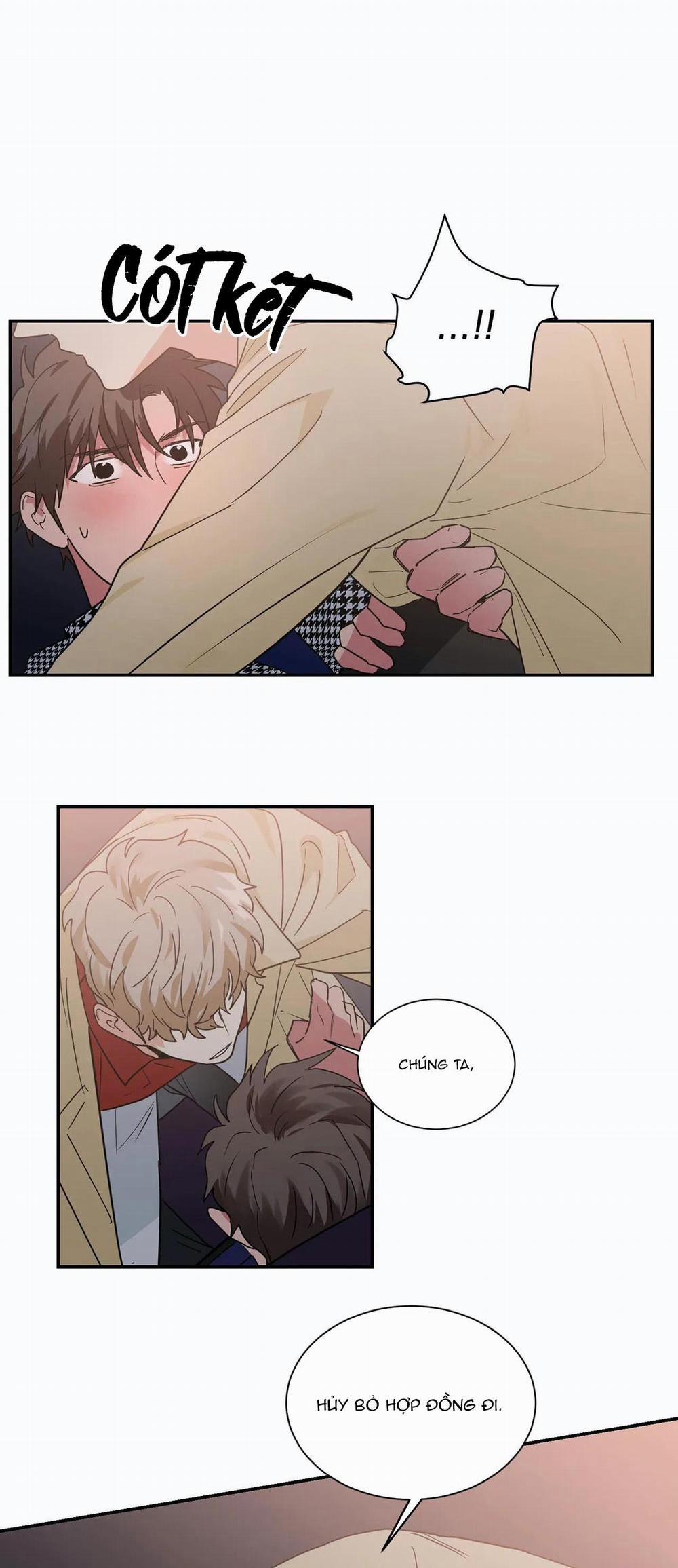 Mâu thuẫn và tương phản 28 trang 15