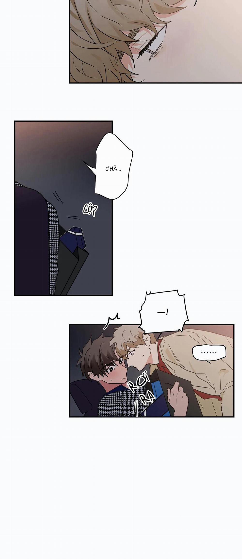 Mâu thuẫn và tương phản 28 trang 17