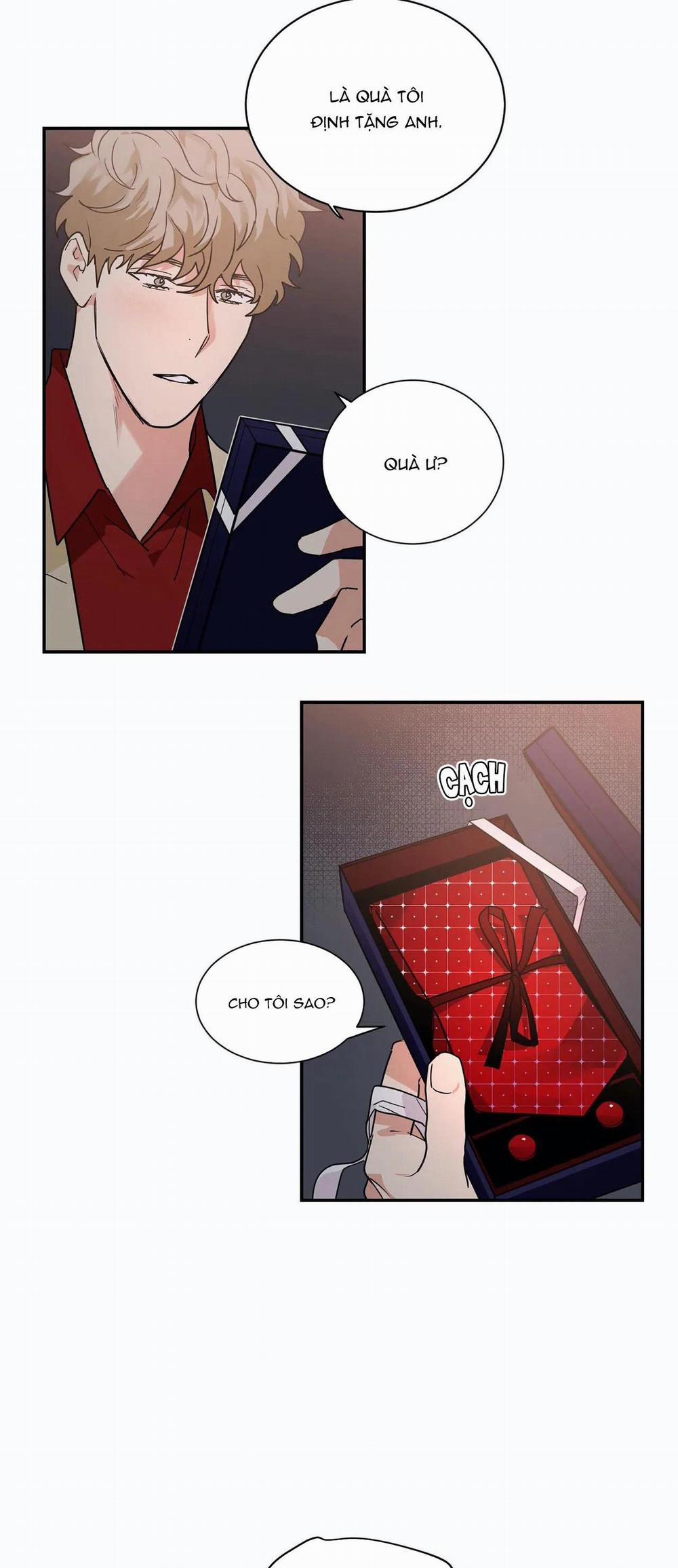 Mâu thuẫn và tương phản 28 trang 19