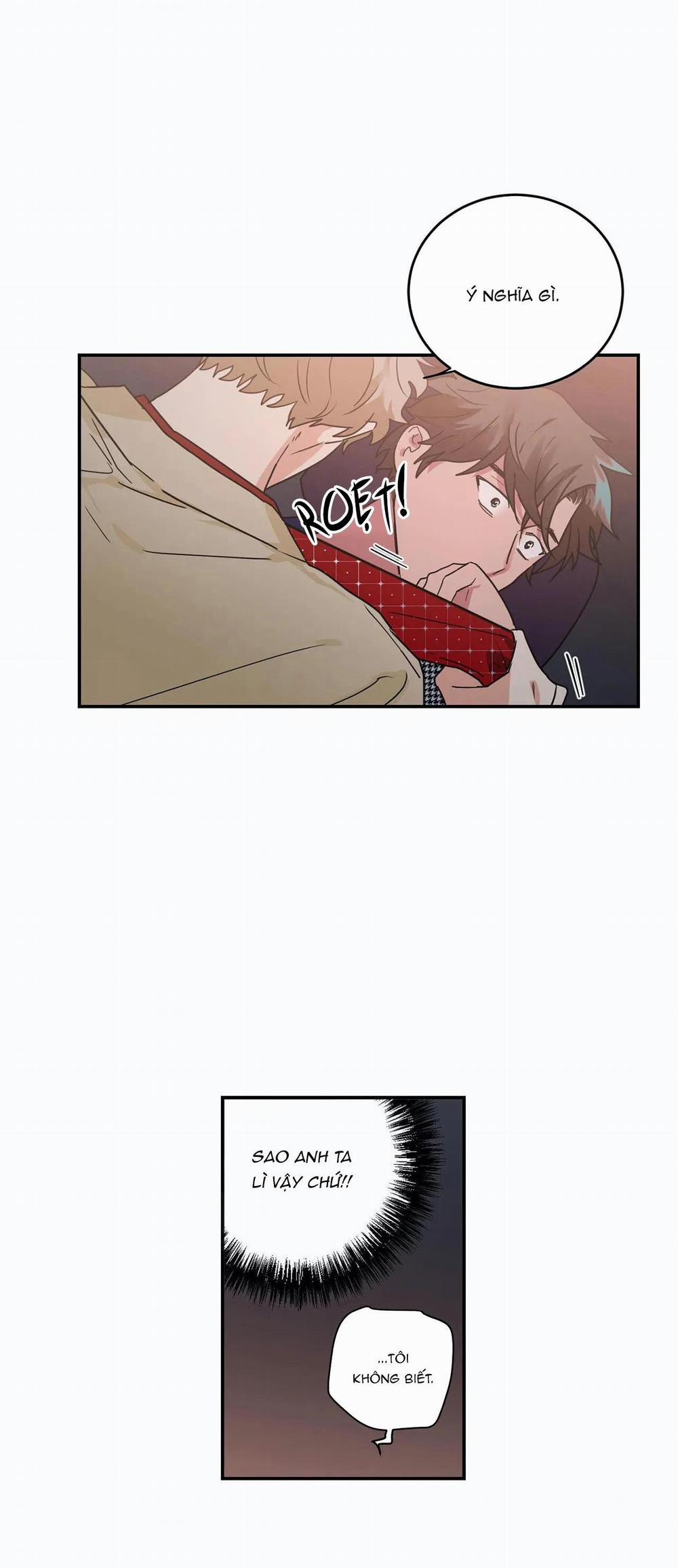 Mâu thuẫn và tương phản 28 trang 21