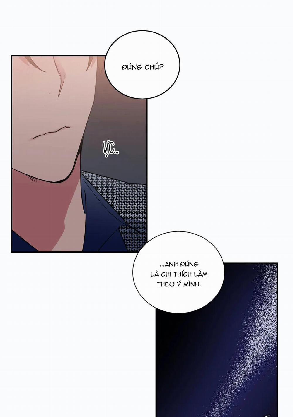 Mâu thuẫn và tương phản 28 trang 25