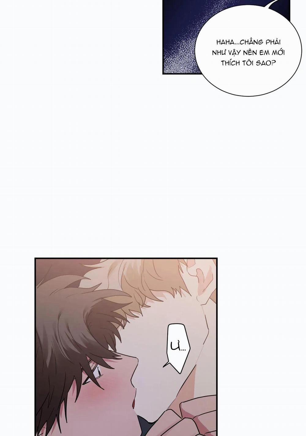 Mâu thuẫn và tương phản 28 trang 26