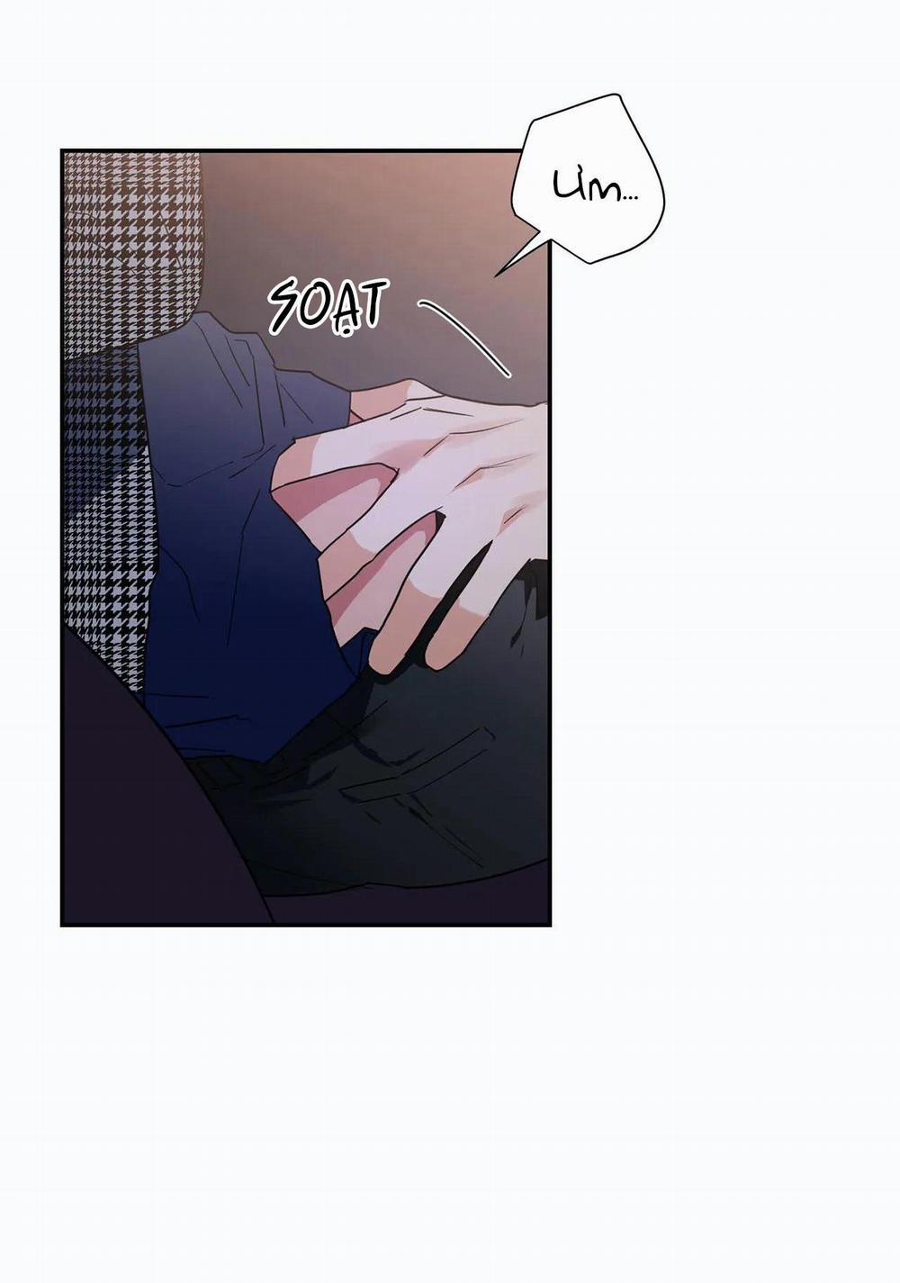 Mâu thuẫn và tương phản 28 trang 28