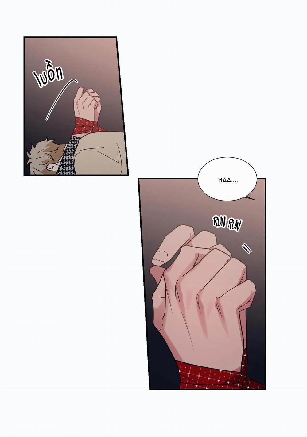 Mâu thuẫn và tương phản 28 trang 29