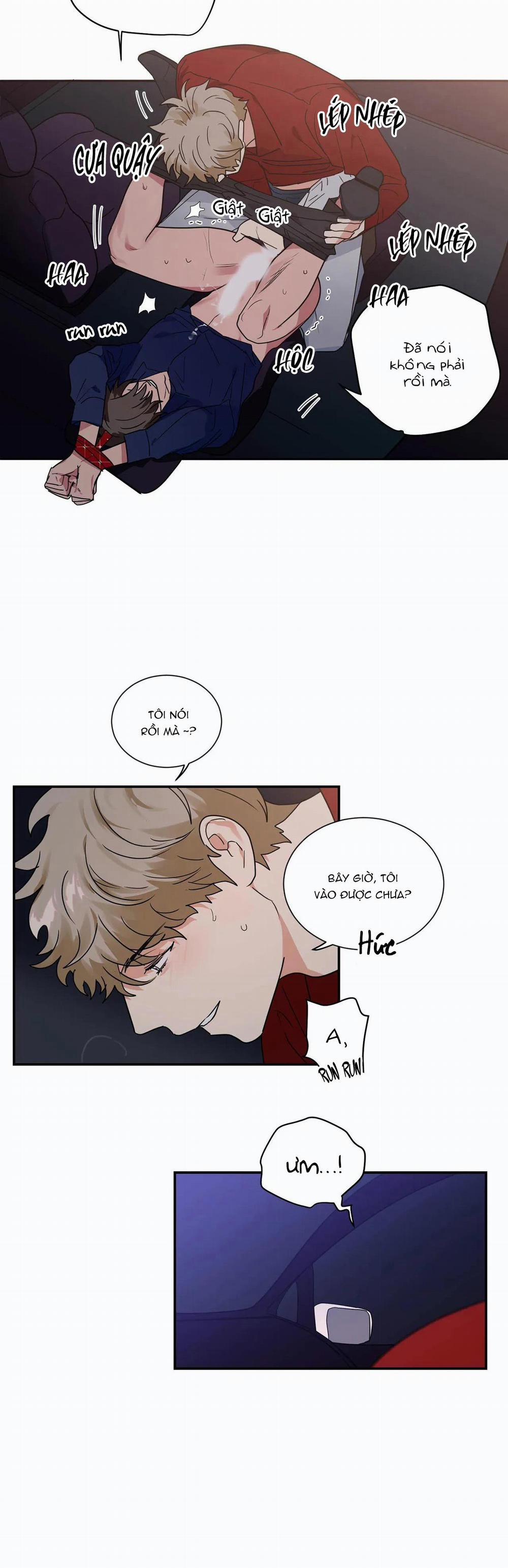 Mâu thuẫn và tương phản 29 trang 11