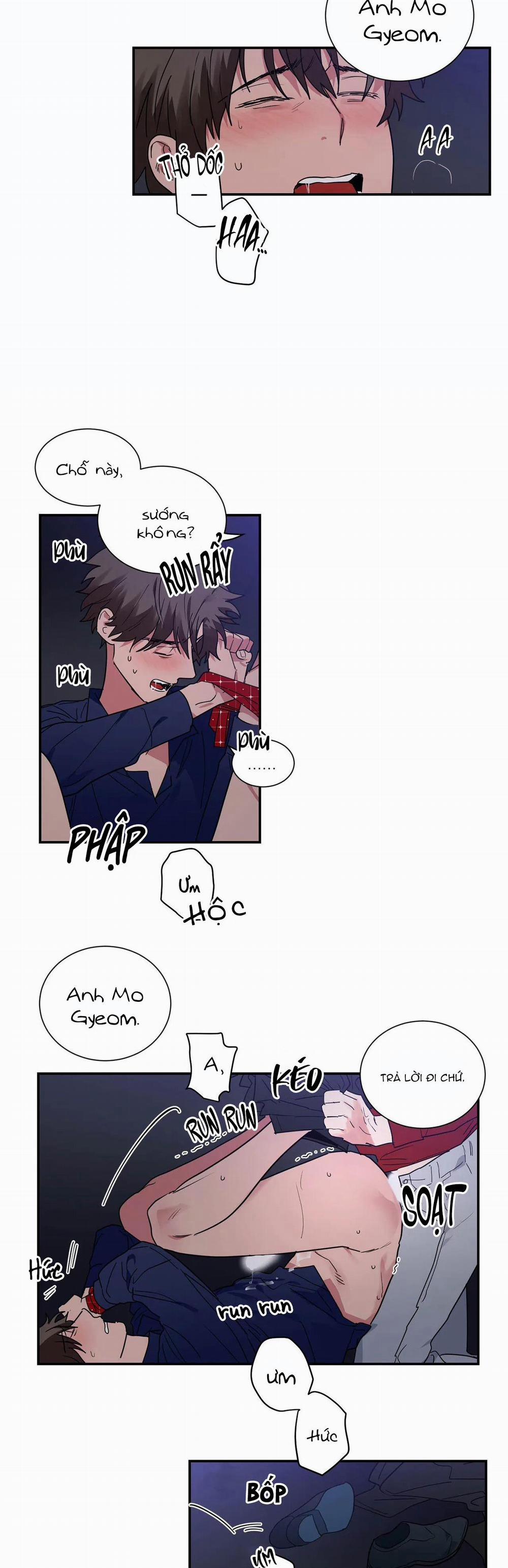 Mâu thuẫn và tương phản 29 trang 14