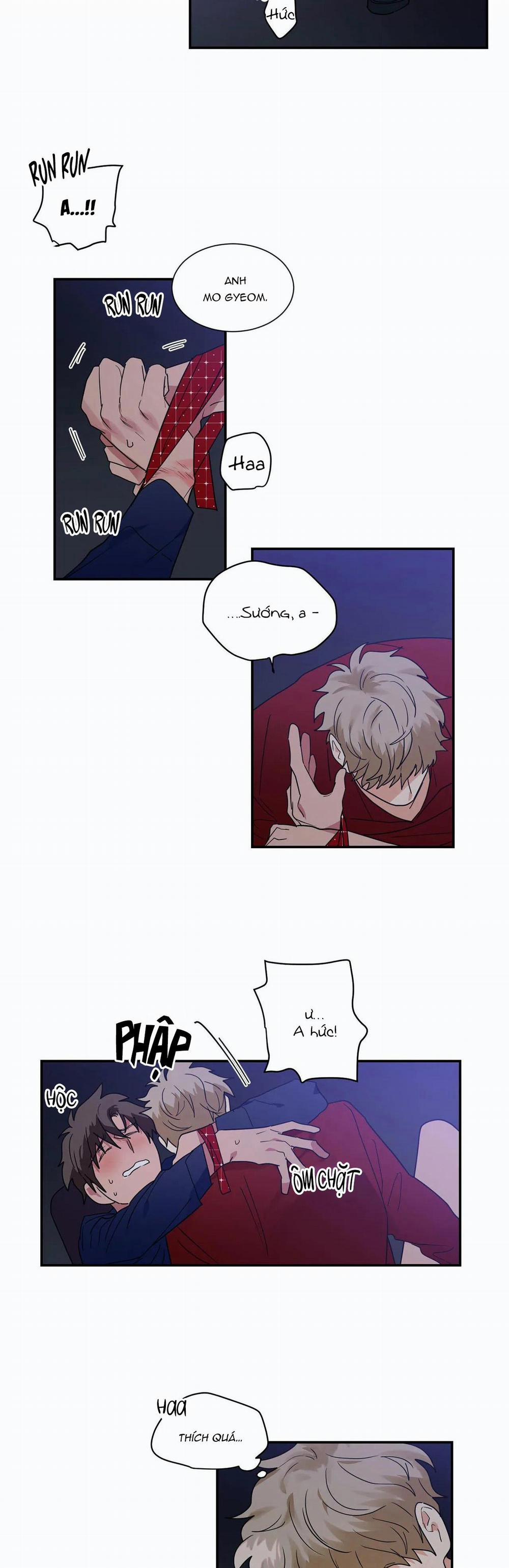 Mâu thuẫn và tương phản 29 trang 15