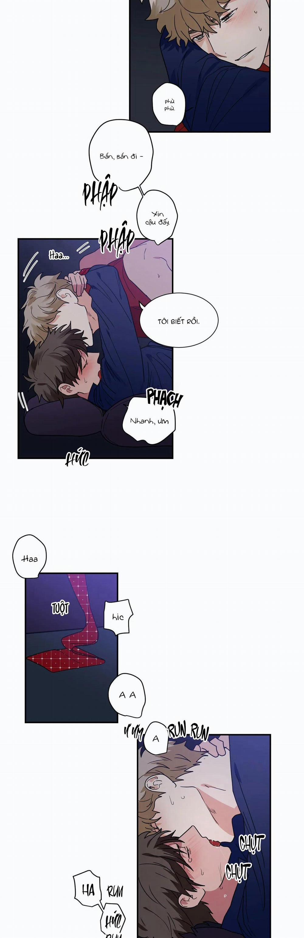 Mâu thuẫn và tương phản 29 trang 16