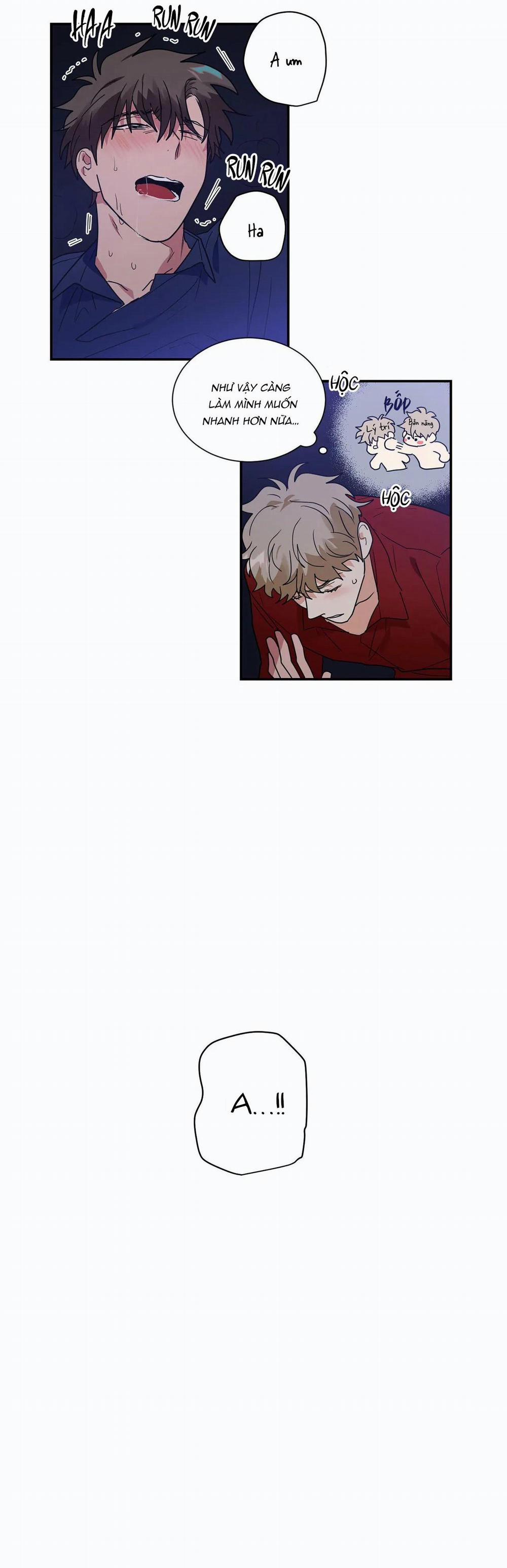 Mâu thuẫn và tương phản 29 trang 18