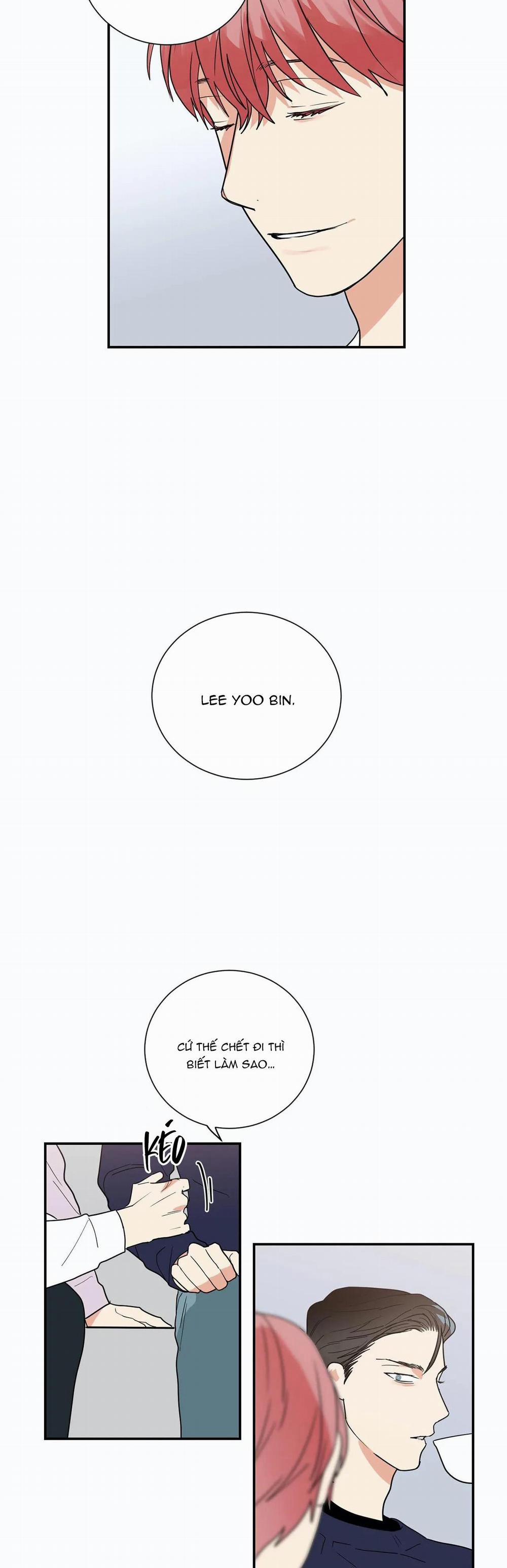 Mâu thuẫn và tương phản 29 trang 23