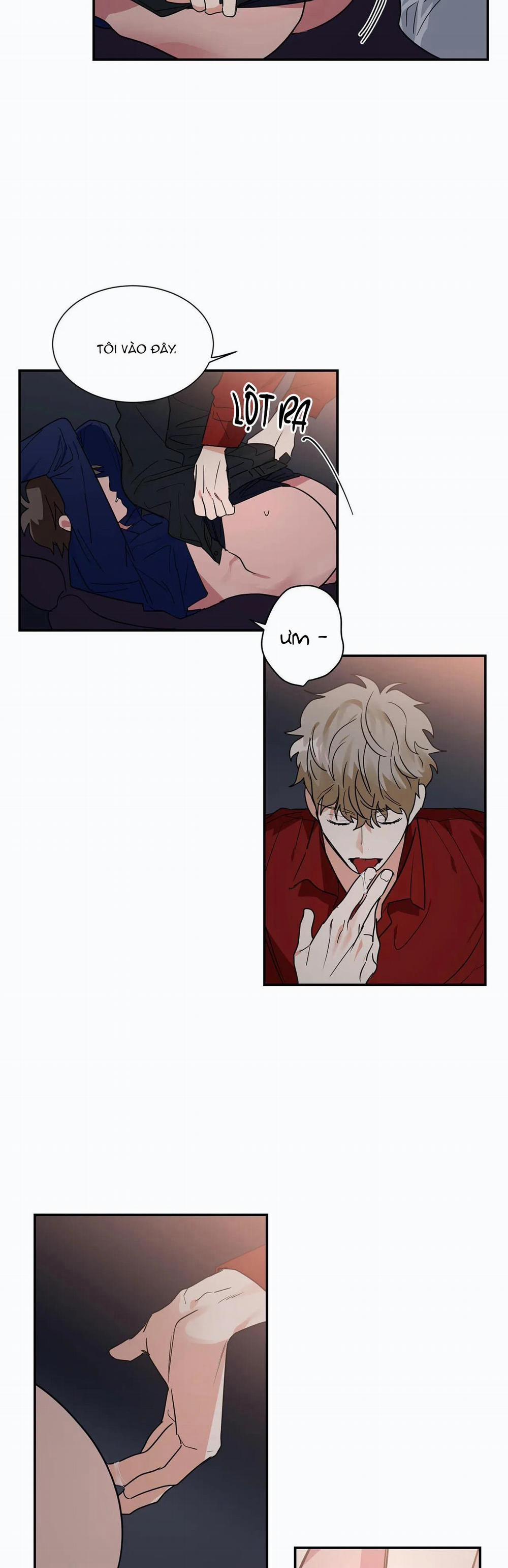 Mâu thuẫn và tương phản 29 trang 8