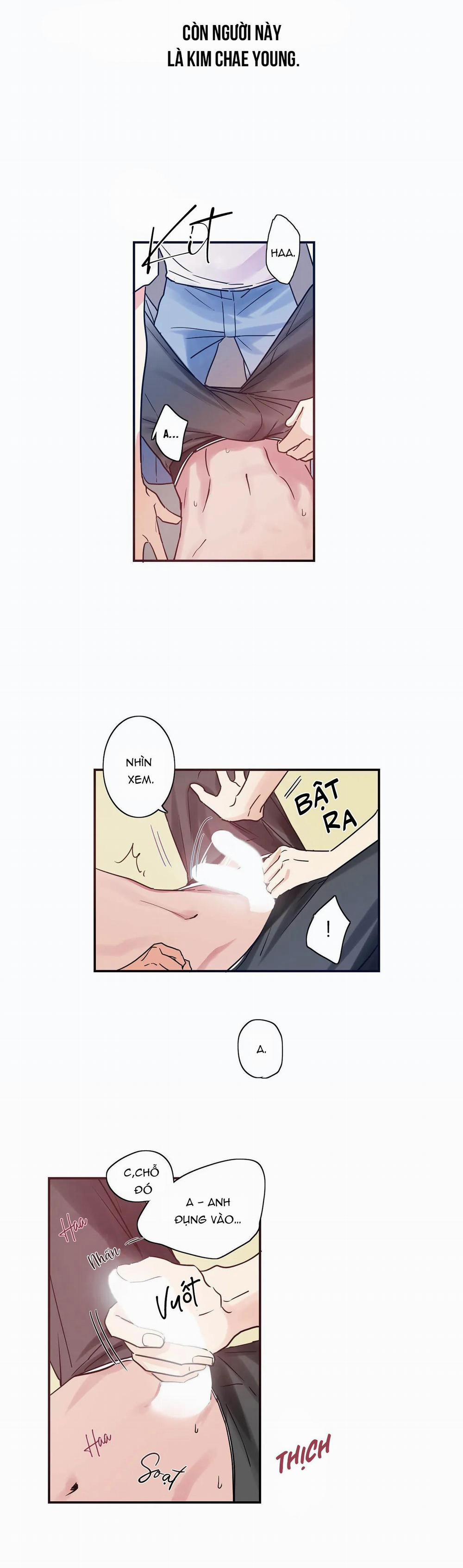 Mâu thuẫn và tương phản 3 trang 8