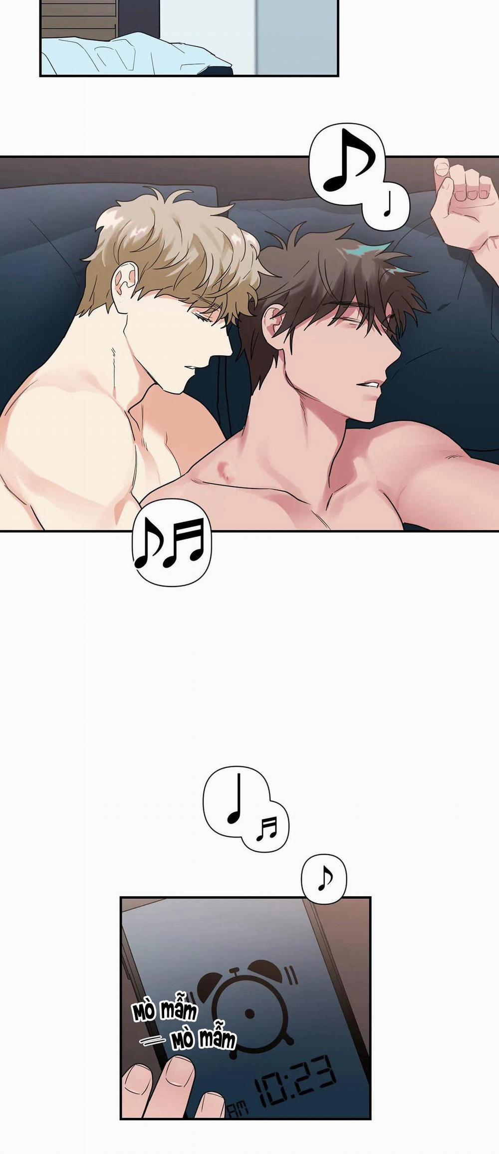 Mâu thuẫn và tương phản 30 trang 17