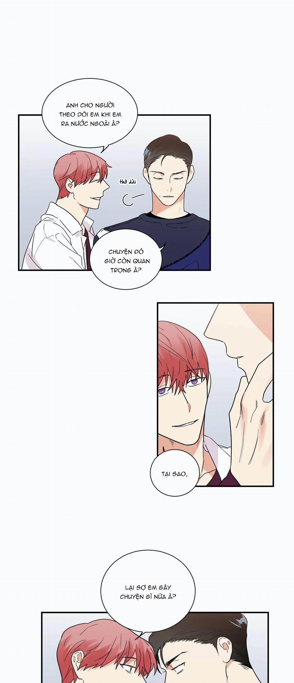 Mâu thuẫn và tương phản 30 trang 3