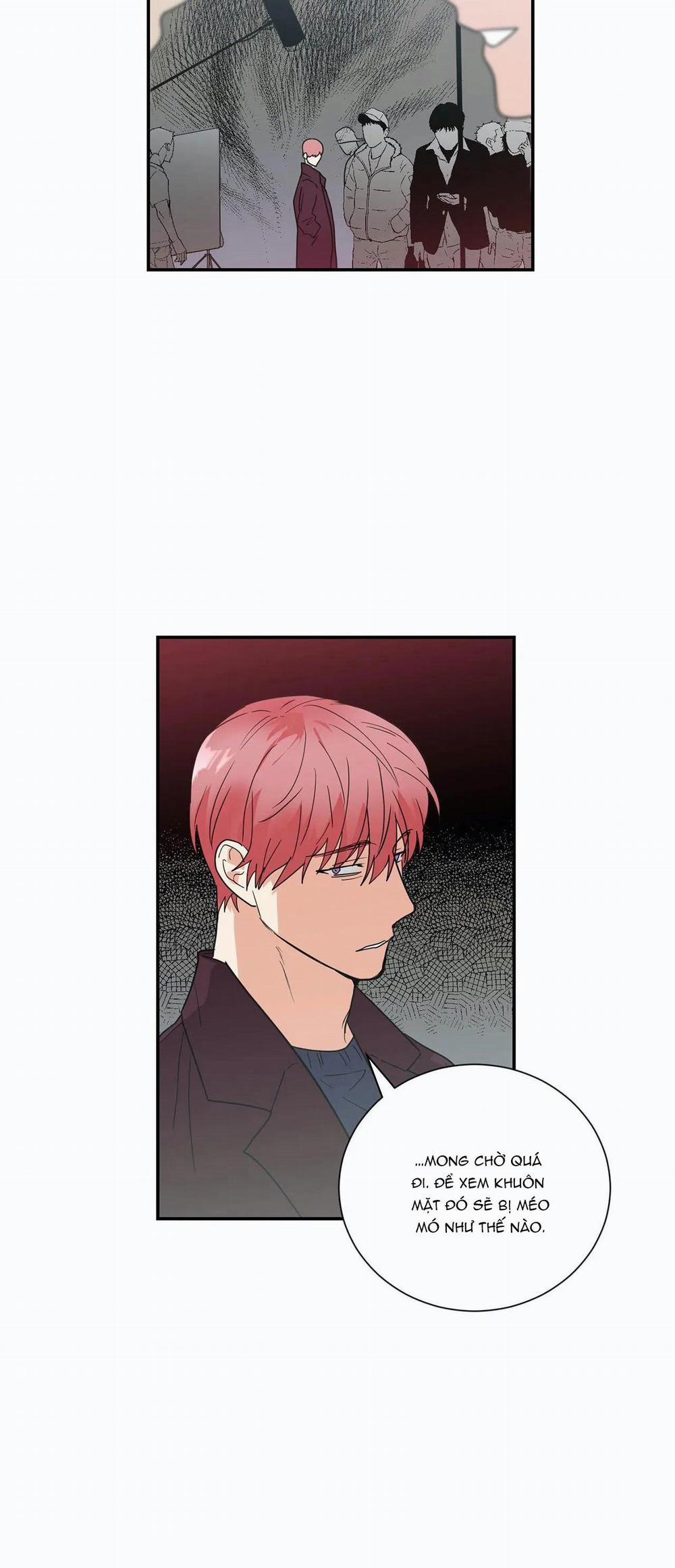 Mâu thuẫn và tương phản 30 trang 31