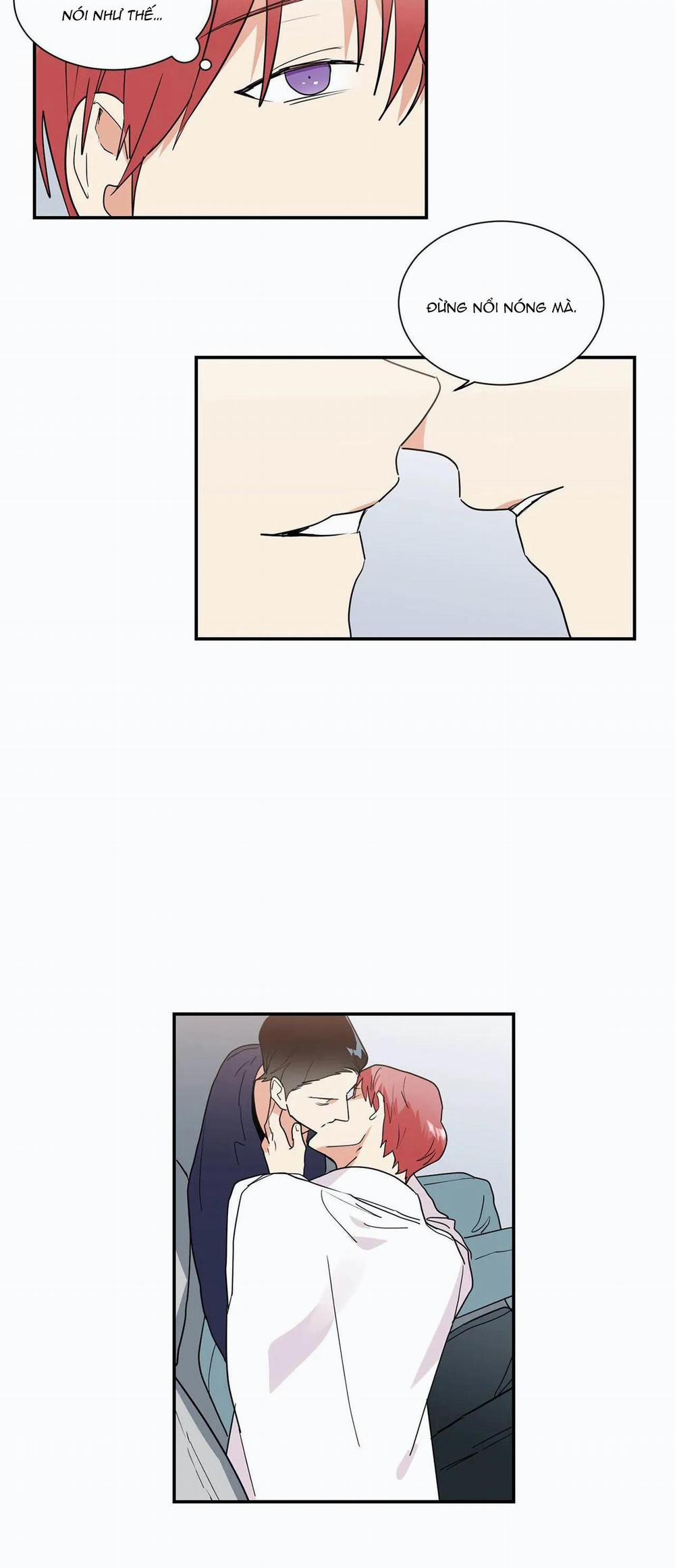 Mâu thuẫn và tương phản 30 trang 5