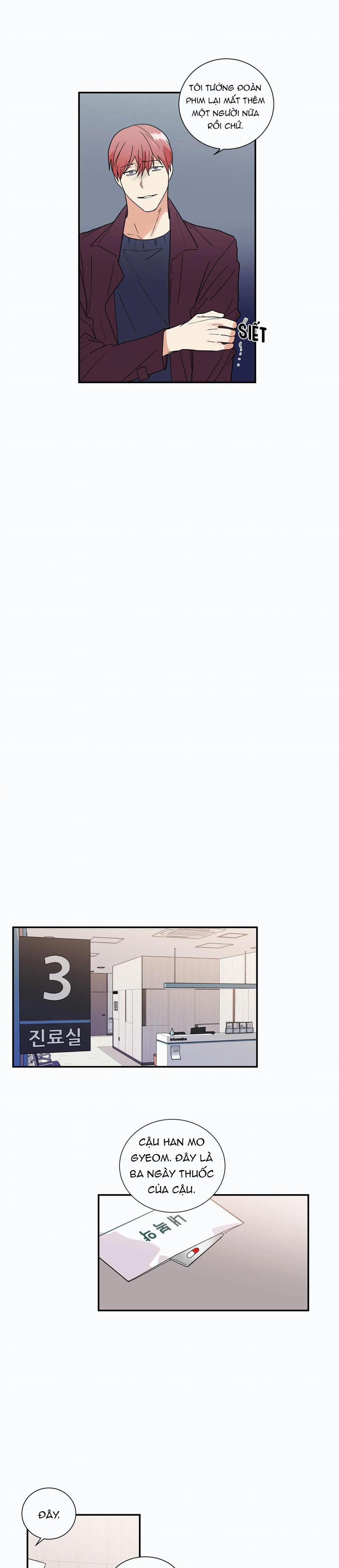 Mâu thuẫn và tương phản 31 trang 12