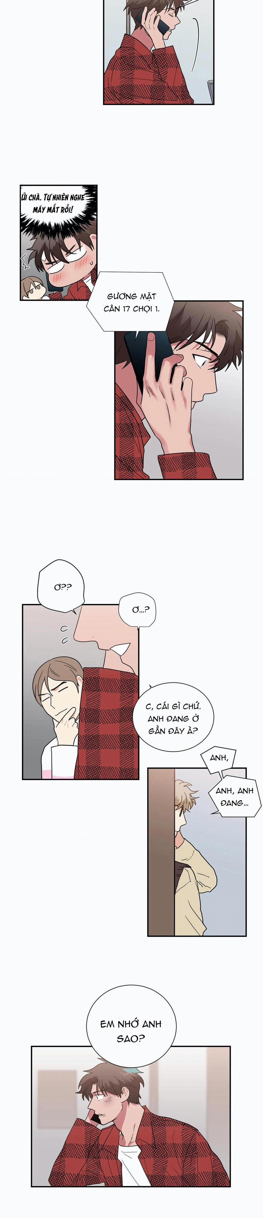 Mâu thuẫn và tương phản 31 trang 14