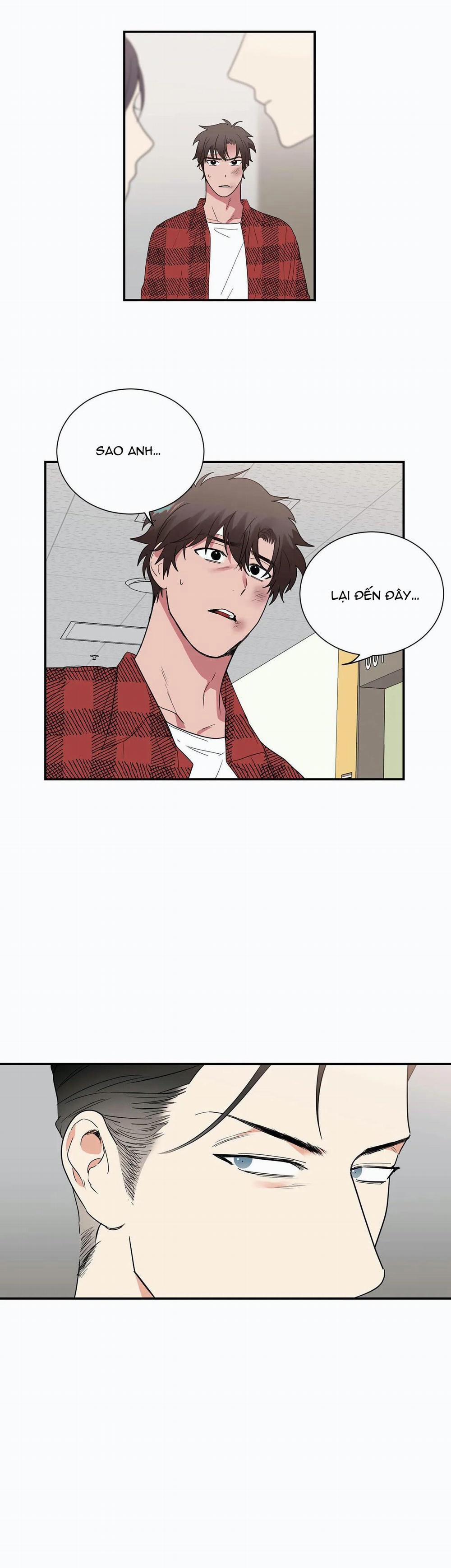 Mâu thuẫn và tương phản 32 trang 11