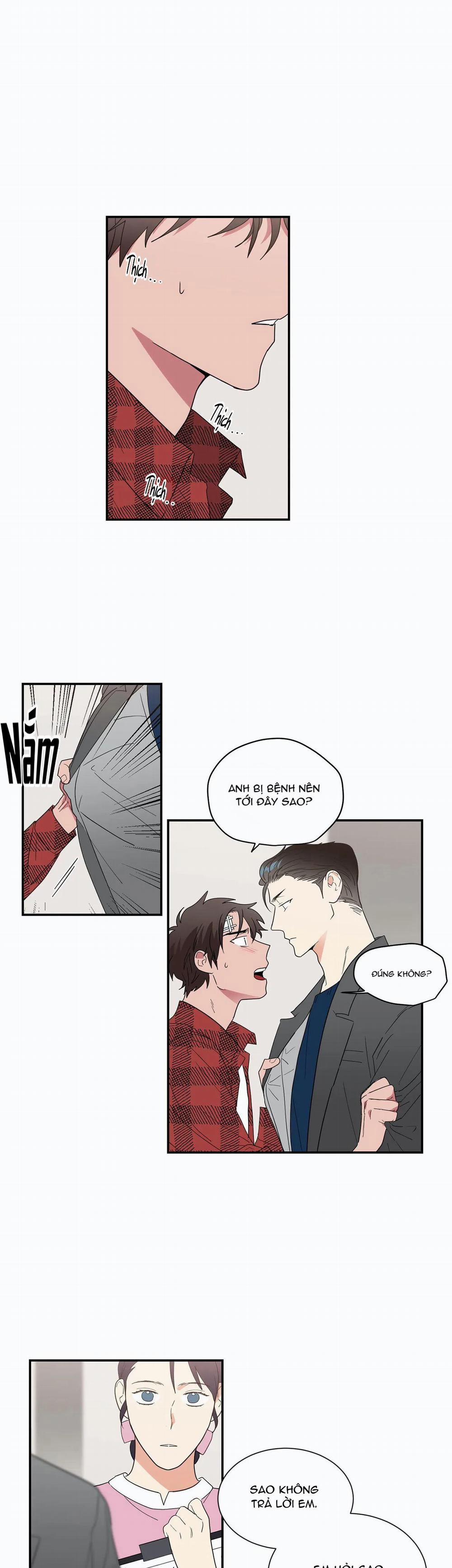 Mâu thuẫn và tương phản 32 trang 12