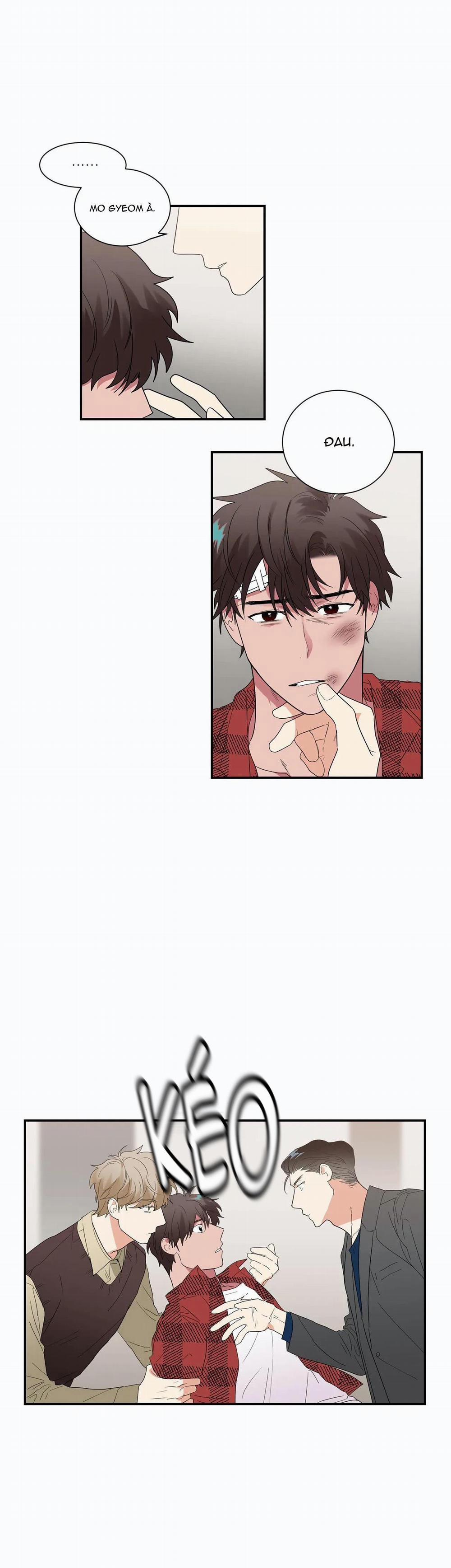 Mâu thuẫn và tương phản 32 trang 14