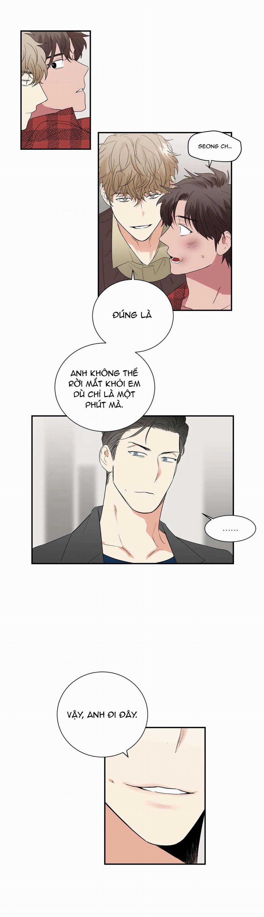 Mâu thuẫn và tương phản 32 trang 15