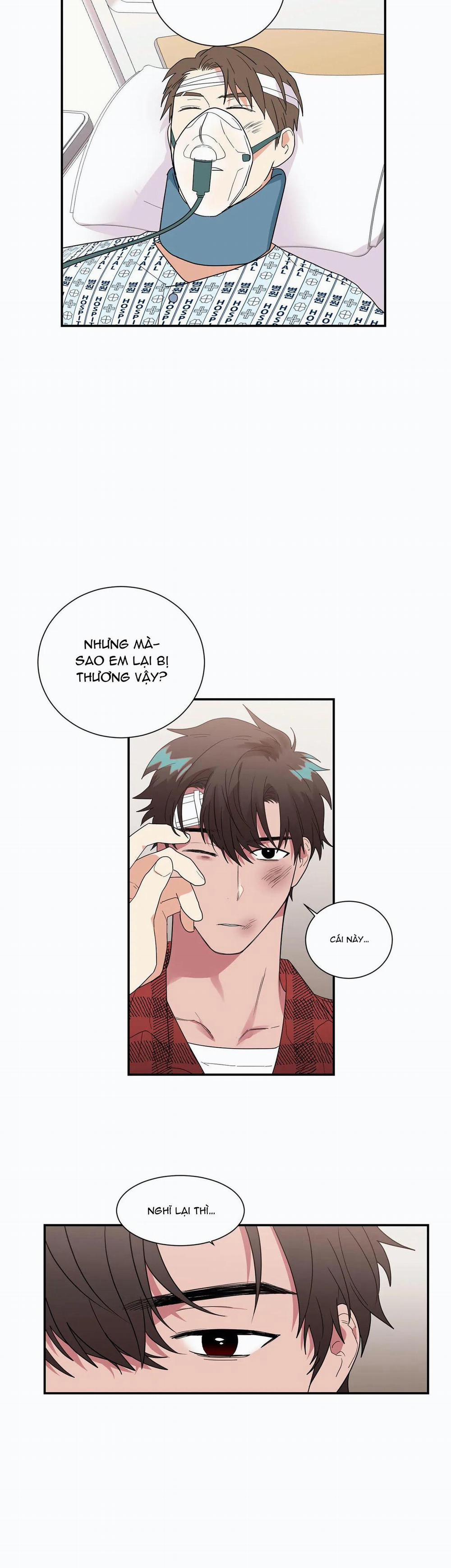 Mâu thuẫn và tương phản 32 trang 5