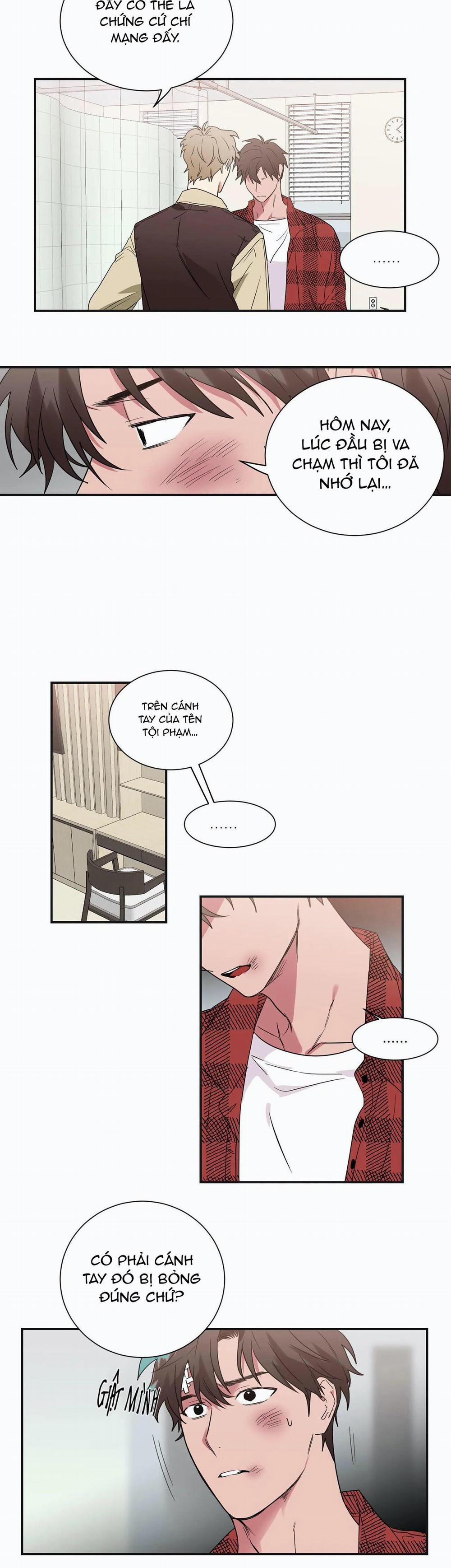 Mâu thuẫn và tương phản 33 trang 11