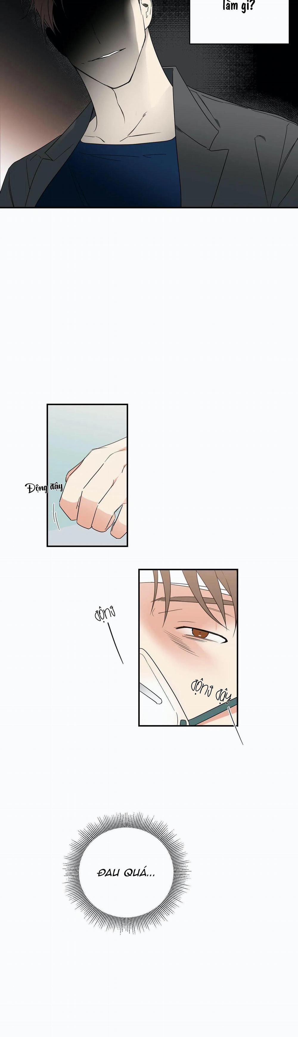 Mâu thuẫn và tương phản 33 trang 17