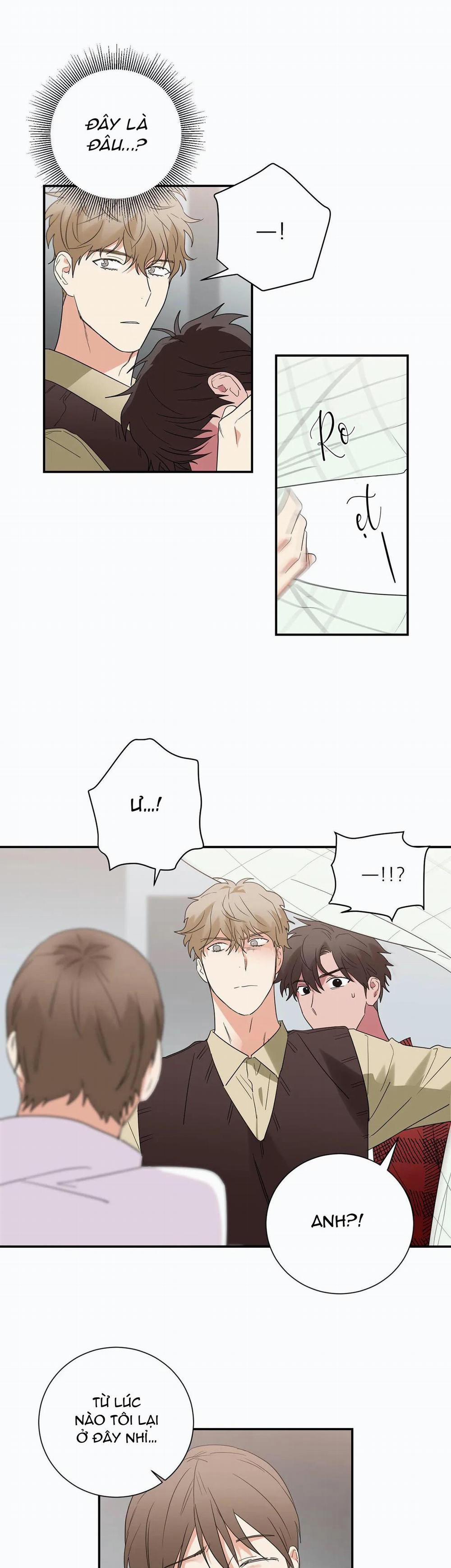 Mâu thuẫn và tương phản 33 trang 18