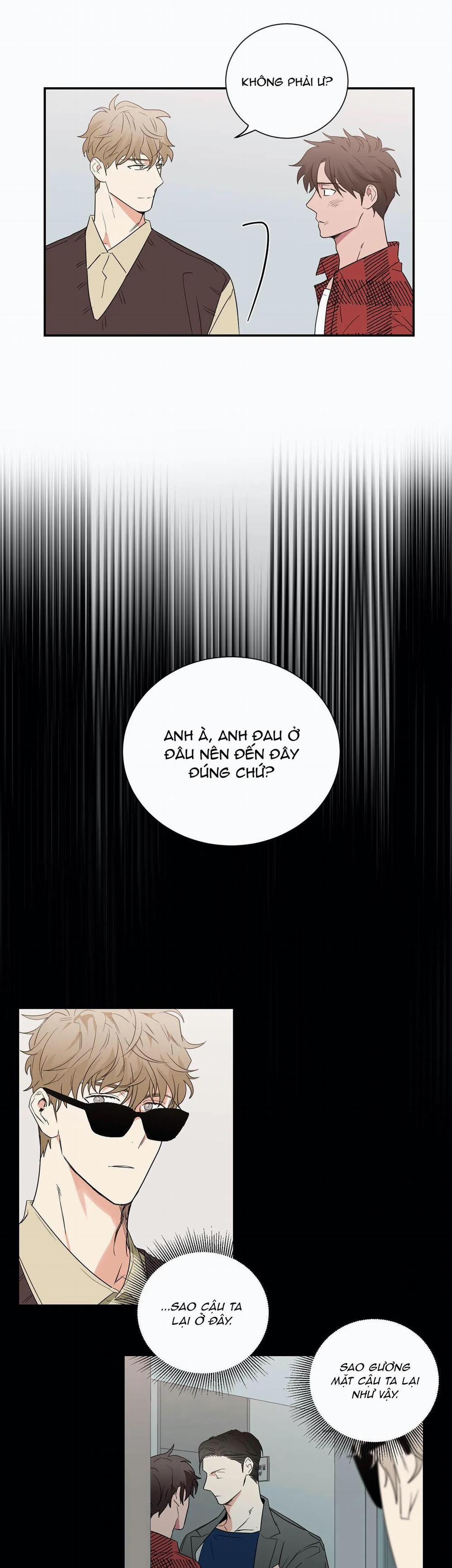 Mâu thuẫn và tương phản 33 trang 6