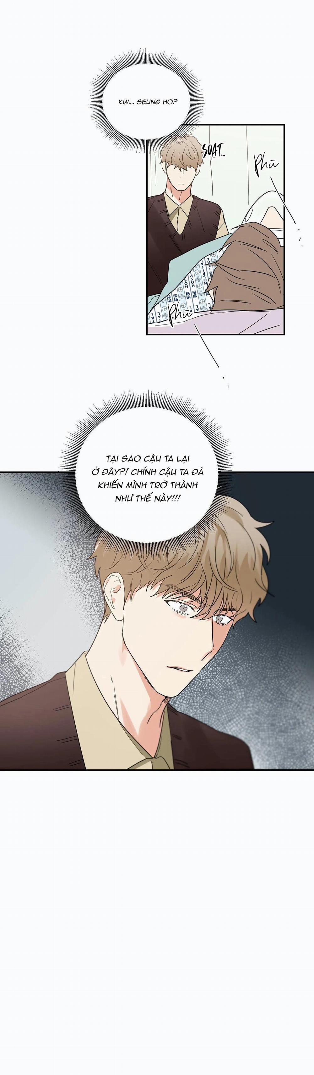 Mâu thuẫn và tương phản 34 trang 0