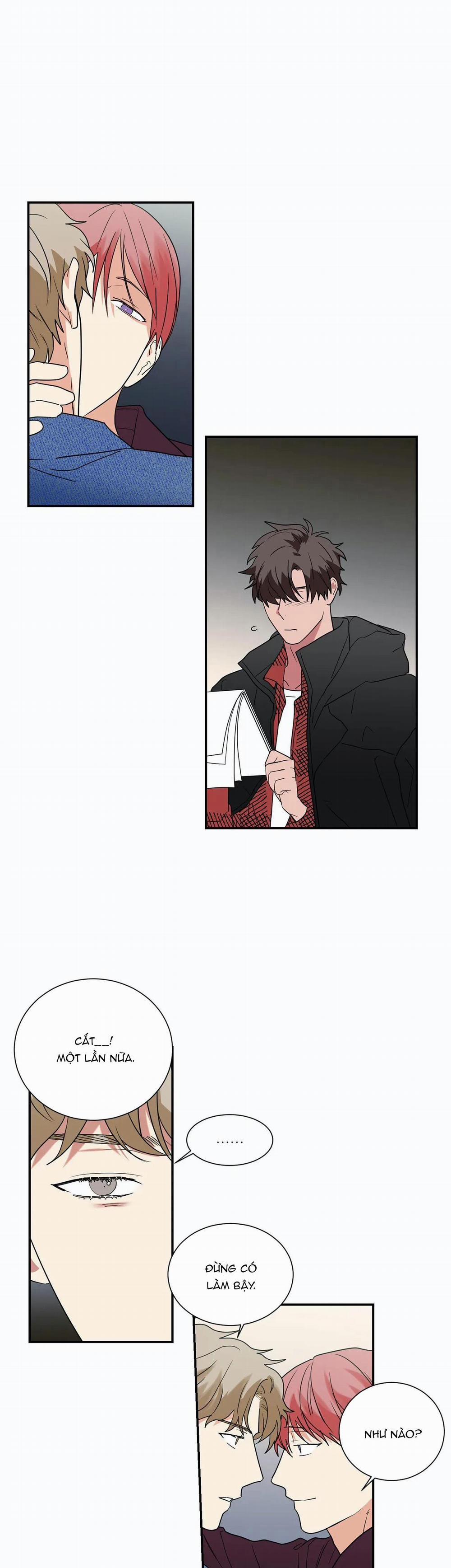 Mâu thuẫn và tương phản 34 trang 18