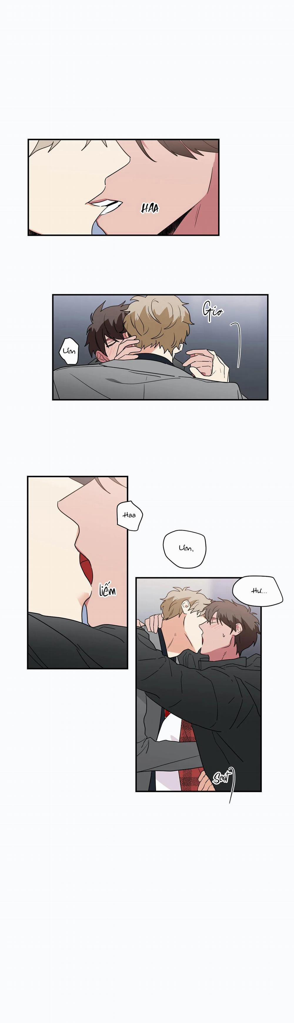 Mâu thuẫn và tương phản 35 trang 12