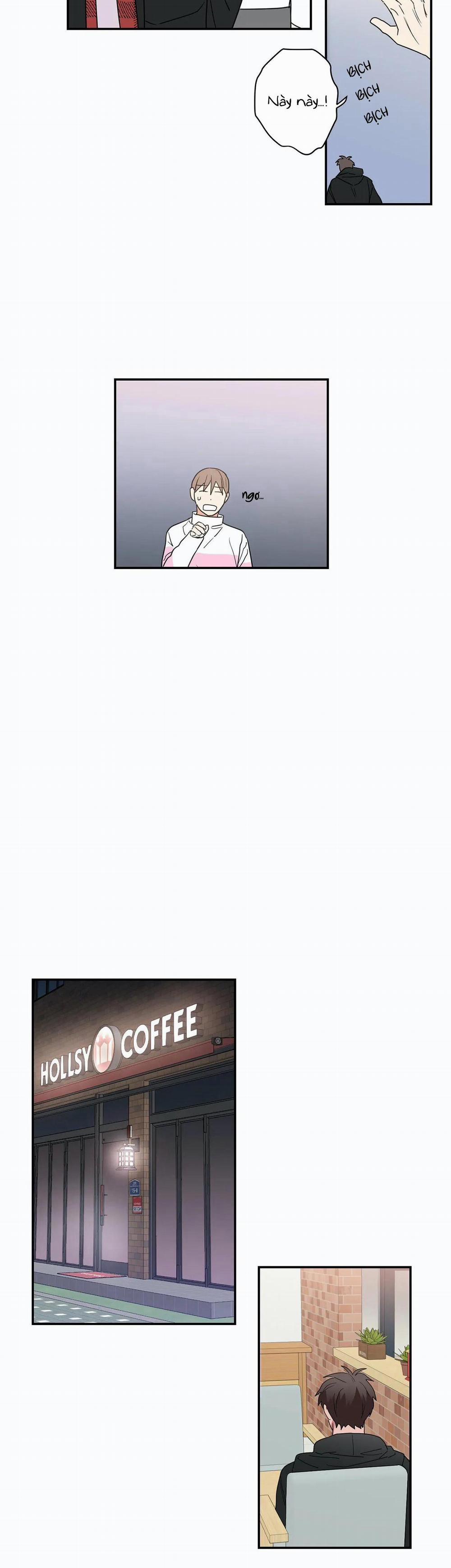 Mâu thuẫn và tương phản 35 trang 17