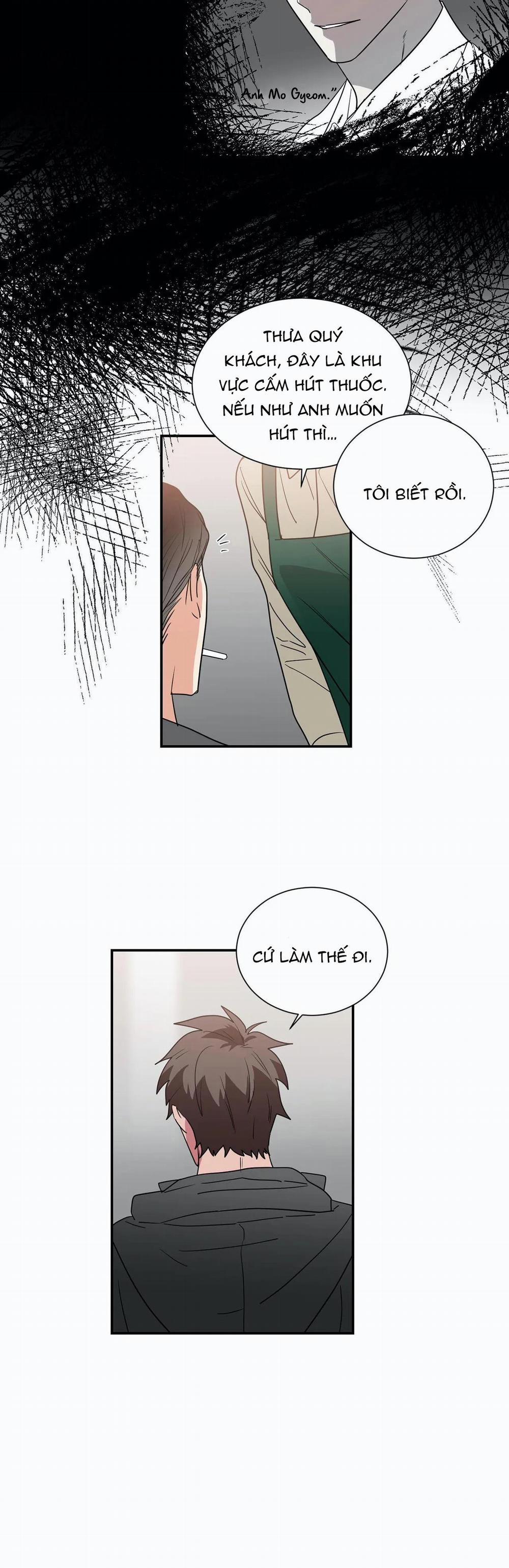 Mâu thuẫn và tương phản 36 trang 13