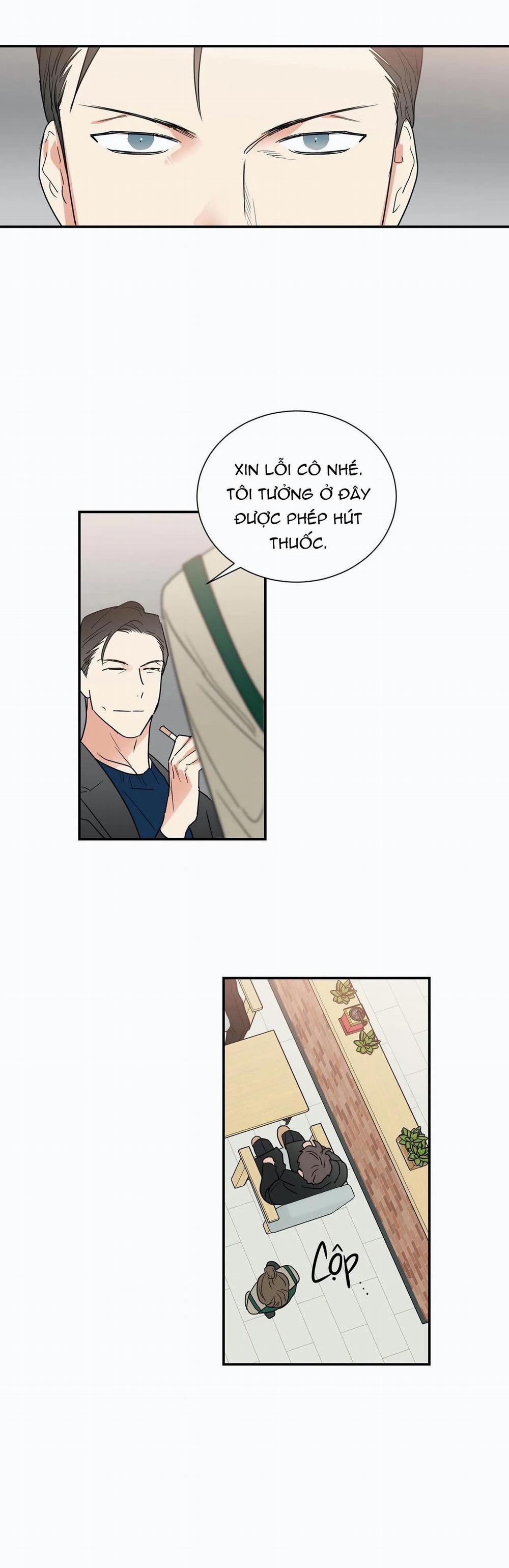 Mâu thuẫn và tương phản 36 trang 14