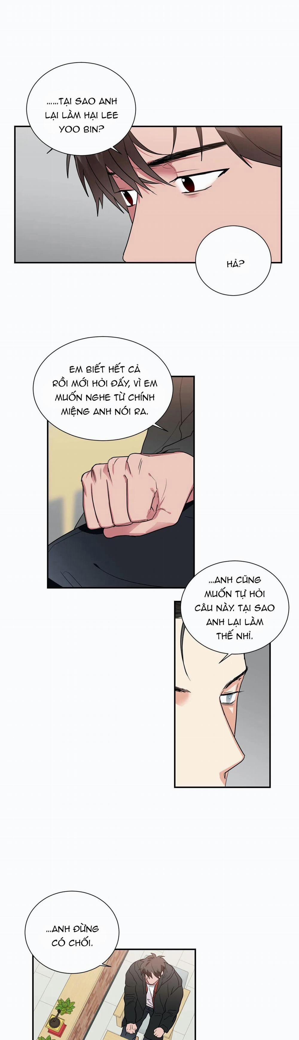 Mâu thuẫn và tương phản 36 trang 4