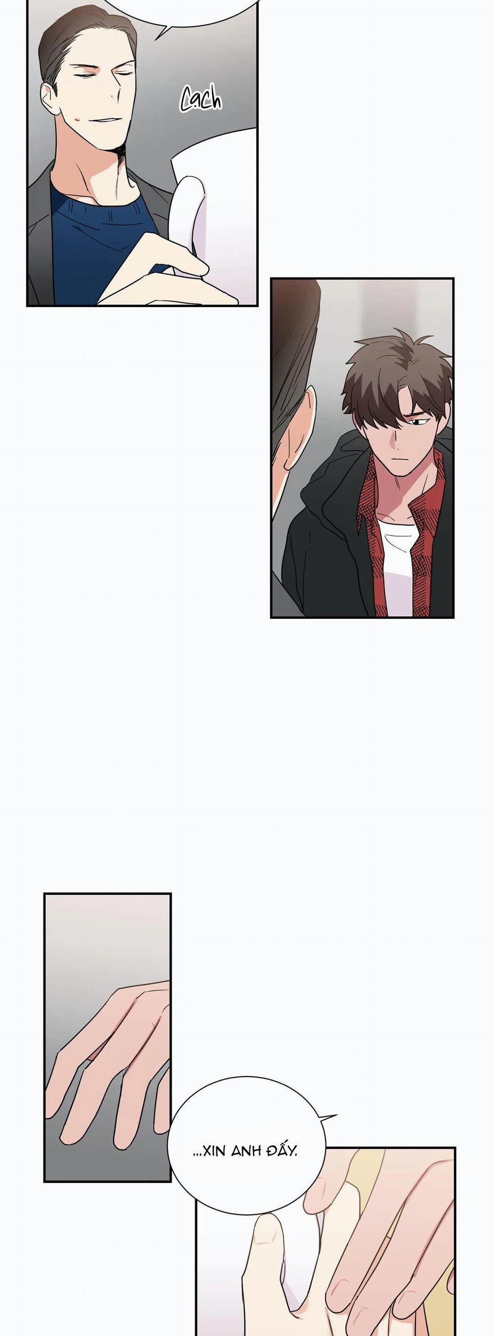 Mâu thuẫn và tương phản 36 trang 8