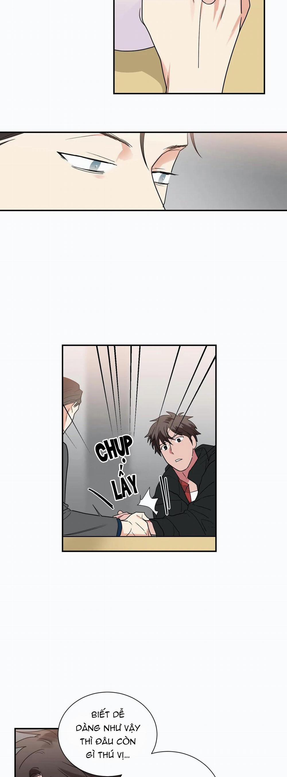 Mâu thuẫn và tương phản 36 trang 9