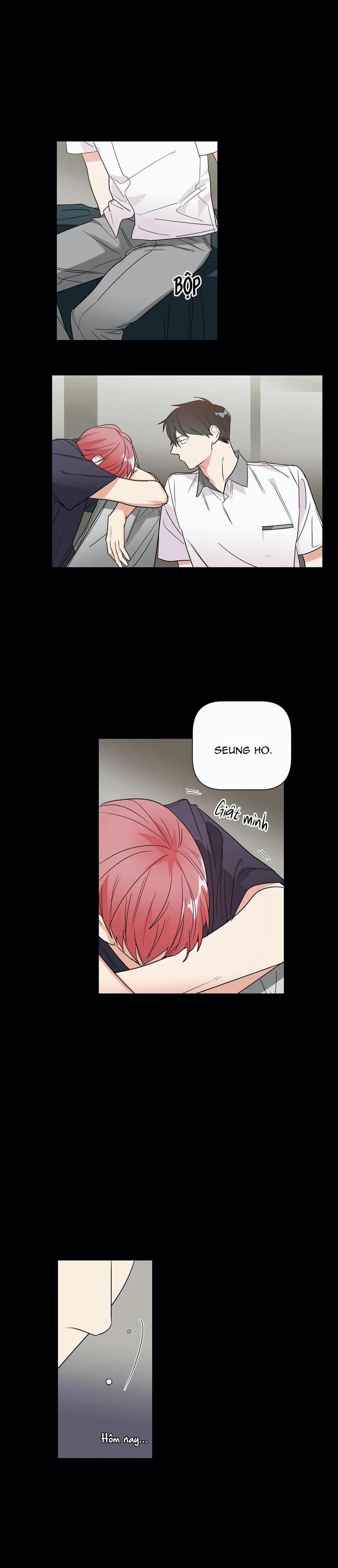 Mâu thuẫn và tương phản 37 trang 15