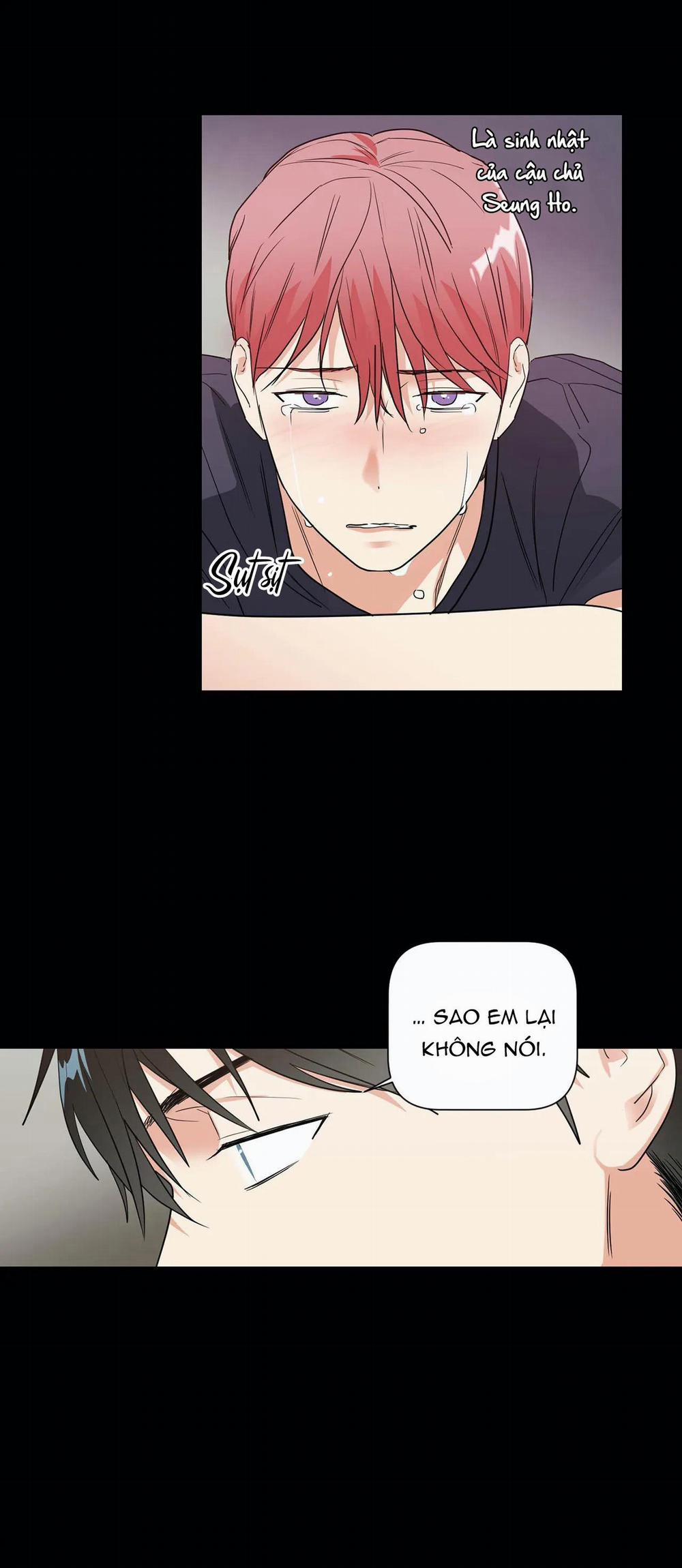 Mâu thuẫn và tương phản 37 trang 16