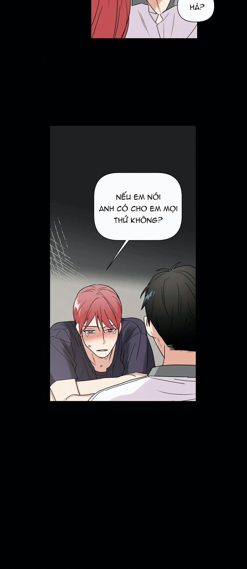 Mâu thuẫn và tương phản 37 trang 18