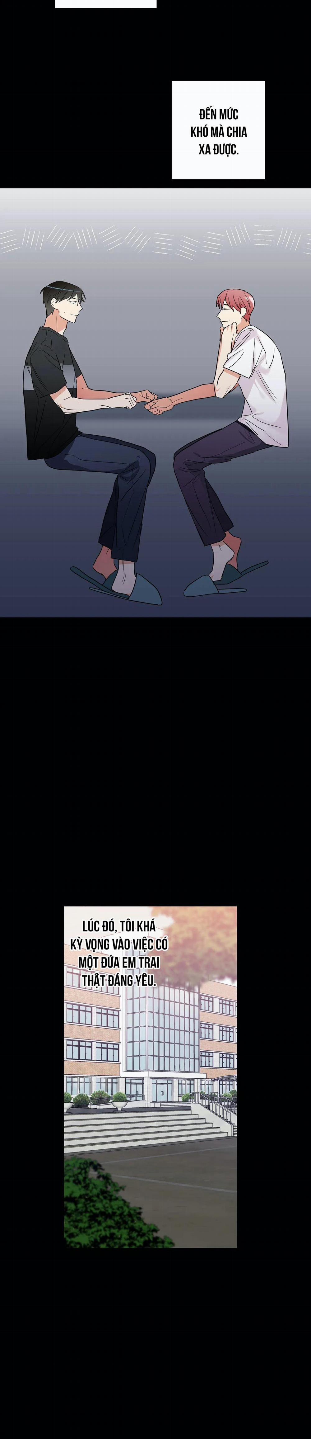 Mâu thuẫn và tương phản 37 trang 4