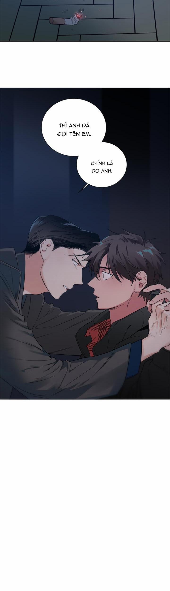 Mâu thuẫn và tương phản 40 trang 15