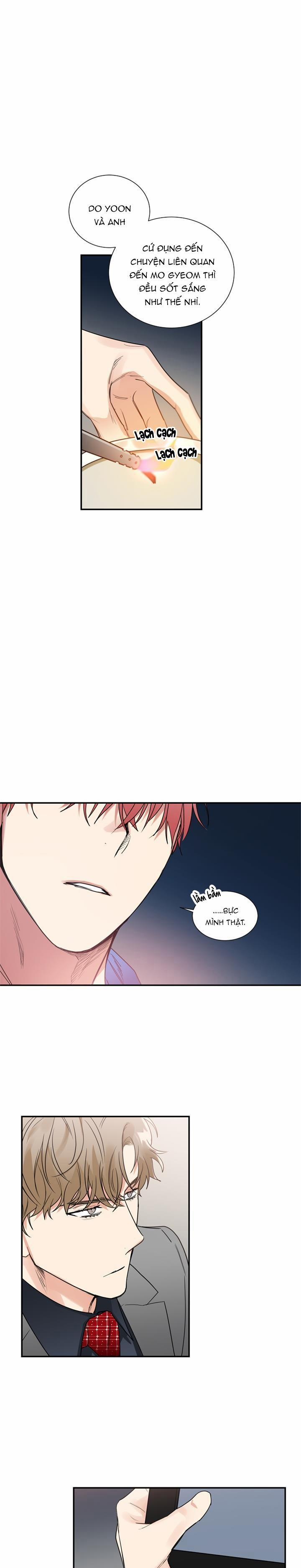 Mâu thuẫn và tương phản 40 trang 4