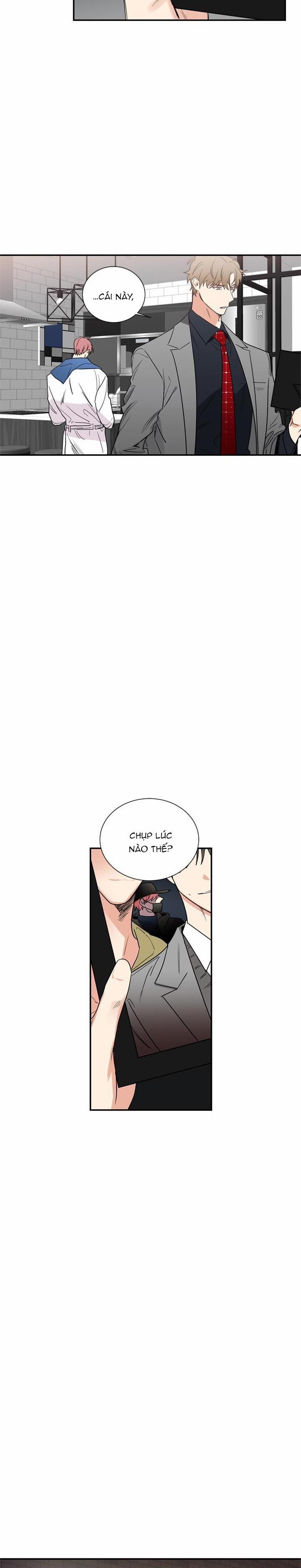 Mâu thuẫn và tương phản 40 trang 5