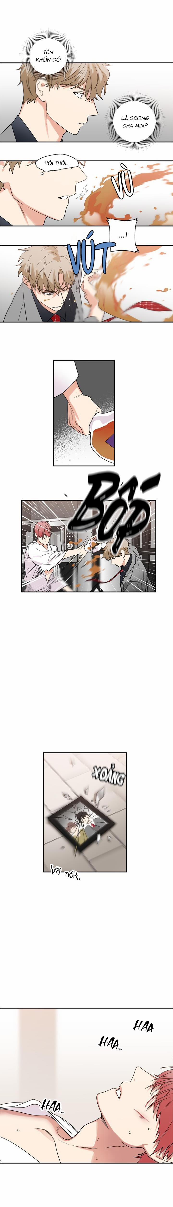 Mâu thuẫn và tương phản 41 trang 6