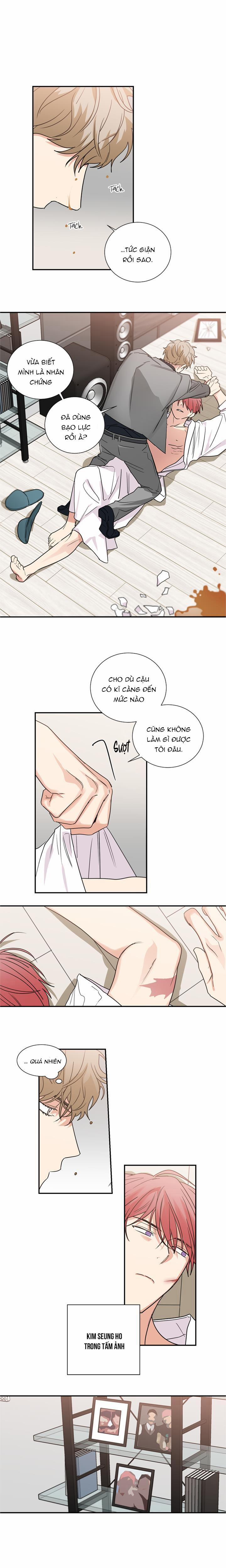 Mâu thuẫn và tương phản 41 trang 7